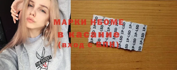 соль ск Алзамай